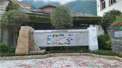 導(dǎo)視系統(tǒng)如何分類(lèi)？