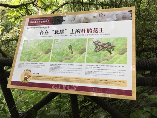 廣告標(biāo)識(shí)標(biāo)牌設(shè)計(jì)制作的一些原則